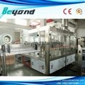 Beyond Auto 3in1 juice filling machine with plc control(24-24-8) 5