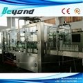 Beyond Automatic pure beer filling plant