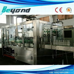 Beyond Automatic pure beer filling plant