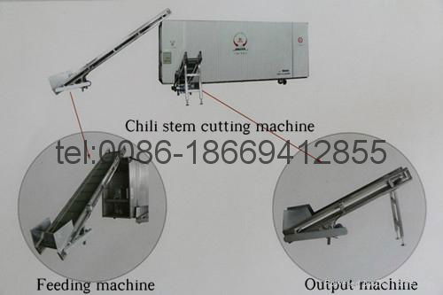 Indian Teja chili stem cutting machine 2