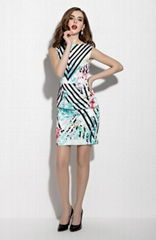Sleeveless folwer and stripe pattern printed sheath dress