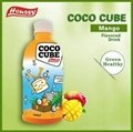 Houssy nata de coco drink with coconut water
