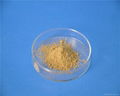 Famous houssy brand freeze dried aloe vera extract powder
