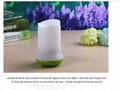 wholesale mini usb oil diffuser,usb humidifier  3