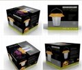 Promotional price solar lantern for Africa students solar led light with switchs 2