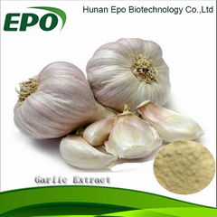 Garlic Extract