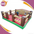 outdoor inflatable sport game 5