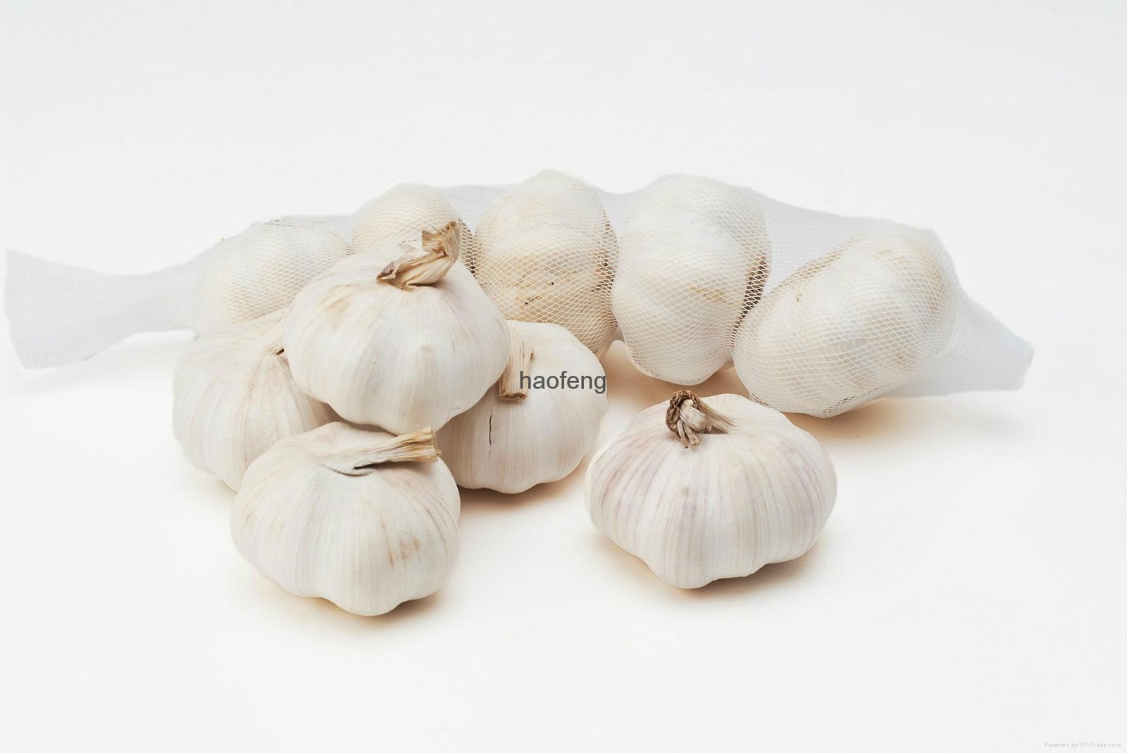 garlic 4