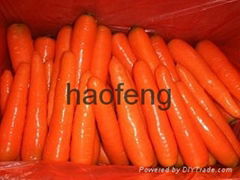 carrot