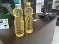 Sunflower Oil 2