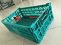 Foldable Crate