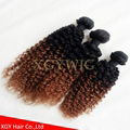 Wholesale 100% virgin Remy Human Hair Ombre Two tone color weaving extensions 