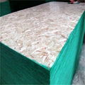 6mm/9mm/12mm/15mm/18mm osb-3 board with