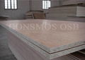 High quality WBP osb-3 board for kitchen cabinet  4