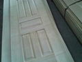 Teak Molded Door Skin HDF 5