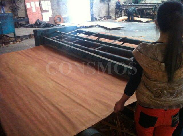 0.3mm 4x8' natural keruing wood veneer for plywood and furniture  3