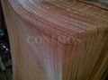 Grade A/B/C Natural keruing wood veneer for Indian market 