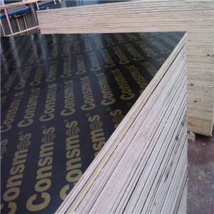 18mm WBP poplar core film faced plywood  3