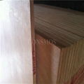 marine okoume plywood 