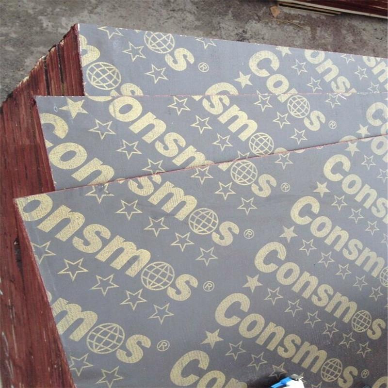 12mm 15mm 18mm construction plywood  3