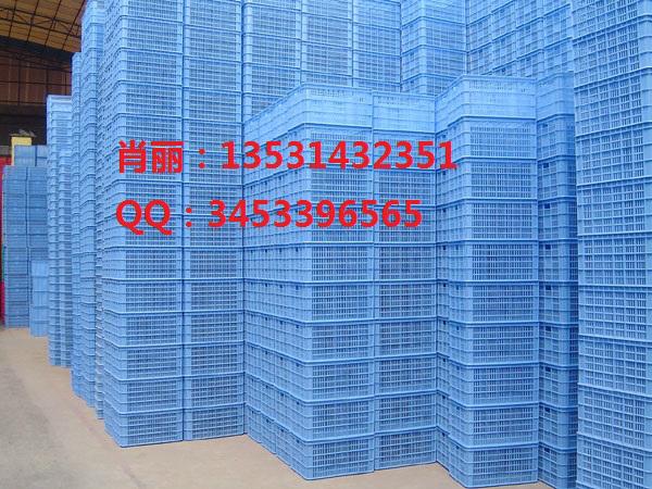 廣西梧州喬豐塑料蔬菜框 4