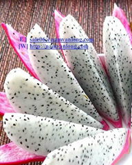 Fresh dragonfruit