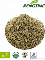 organic cumin seed 