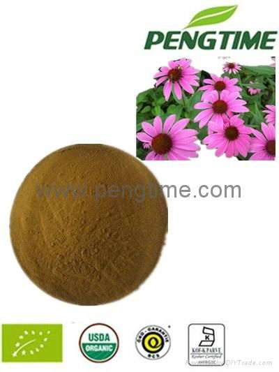 Organic Echinacea Purpurea powder  