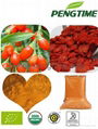 organic goji berry powder