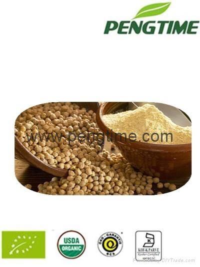 Organic garbanzo bean powder