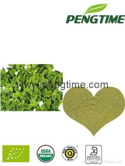 organic Oregano powder