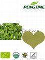 organic Oregano powder