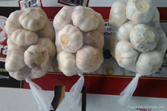 Fresh garlic  package by garlic carton or garlic mesh bag
