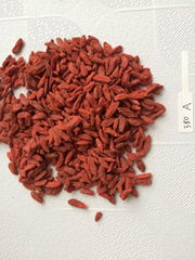 China factory goji berry