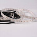 led strip 5050 1