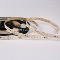 led strip 3030 1