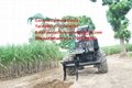 HY-8600 wheel sugarcane loader 4