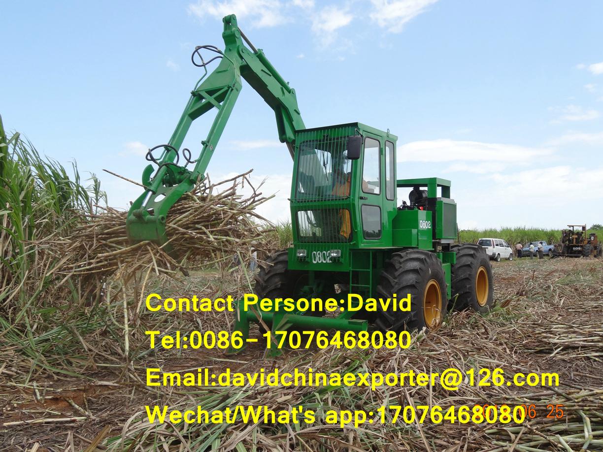 Hongyuan sugarcane grab loader for sale (China Manufacturer) Special