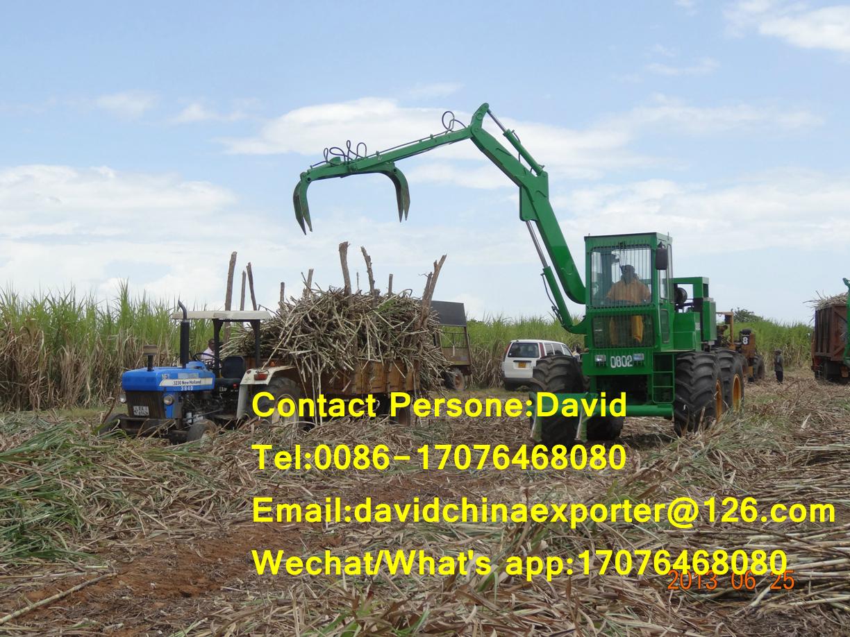 Hongyuan sugarcane grab loader for sale (China Manufacturer) Special