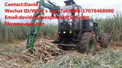 Hongyuan HY-8600 sugar cane grab loader