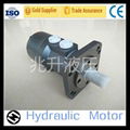 China Hot Sale Bm3 Orbit Hydraqulic Motor 1