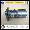 China Hot Sale Bm3 Orbit Hydraqulic Motor 5