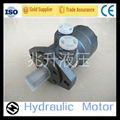 Hydraulic Motor for a Winch/Orbital