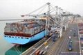 Sea Shipping From Shenzhen China To