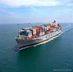 Sea Freight FCL  LCL Shipping From Shenzhen To The Port Of Miami