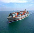 Sea Shipping From China To San Antonio