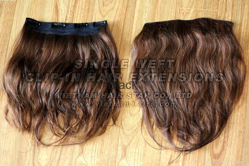 SINGLE WEFT CLIP - IN EXTENSIONS 2