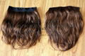 SINGLE WEFT CLIP - IN EXTENSIONS 2