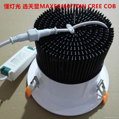 LED Downlight MAX 70W 60W 50W CREE COB 2700K 3000K 4000K 5000K