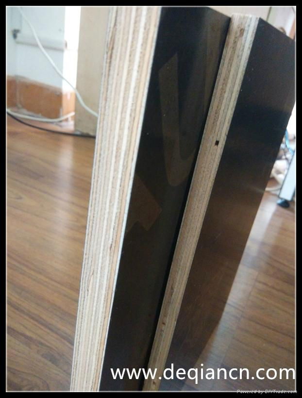 High quality film faced plywood supplier from China 5